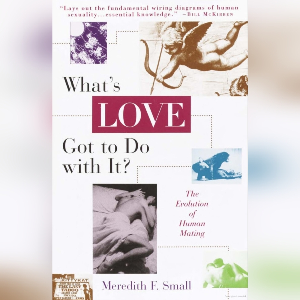 Book - What's Love Got to Do with It?
